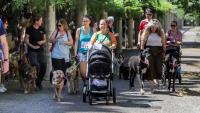 Passejada de famílies amb gossos, aquest mes de juny, a Girona