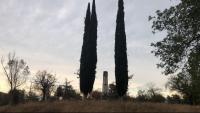 Dos xiprers monumentals flanquegen l’obelisc amb la creu dedicada als ‘caiguts’ i una pintada independentista a la base
