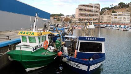 Flota pesquera amarrada al port d’Arenys de Mar, ahir al matí