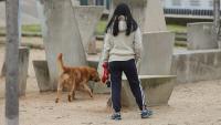 Una dona passeja el seu gos