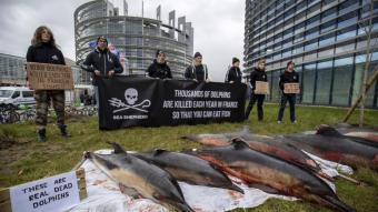 Uns activistes protesten per la mort de dofins davant del Parlament Europeu