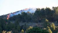 Incendi en una zona boscosa a la Selva del Camp, el 15 de març passat