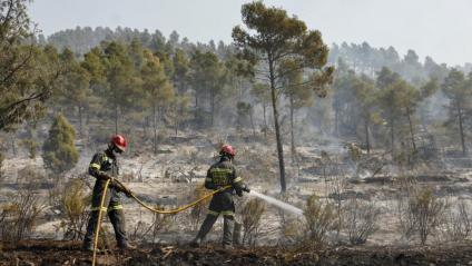 Bombers remullant una zona afectada pel foc de Castelló, a la zona de Montant