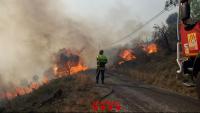 Incendi al Rosselló que va arribar fins a Portbou aquest abril.