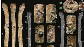 Aeròfons d’os trobats al jaciment natufià d’Eynan (vall del Jordà, Israel)