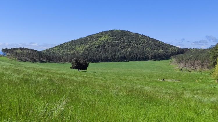 Aspecte del Pla de Clarà, a la Nou de Berguedà, on es vol fer la bassa de 5 hm3 que rebi l'aigua des del pantà de la Baells