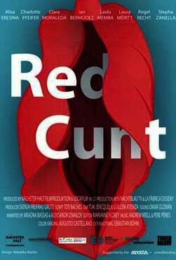 Red Cunt: reconsidering periods